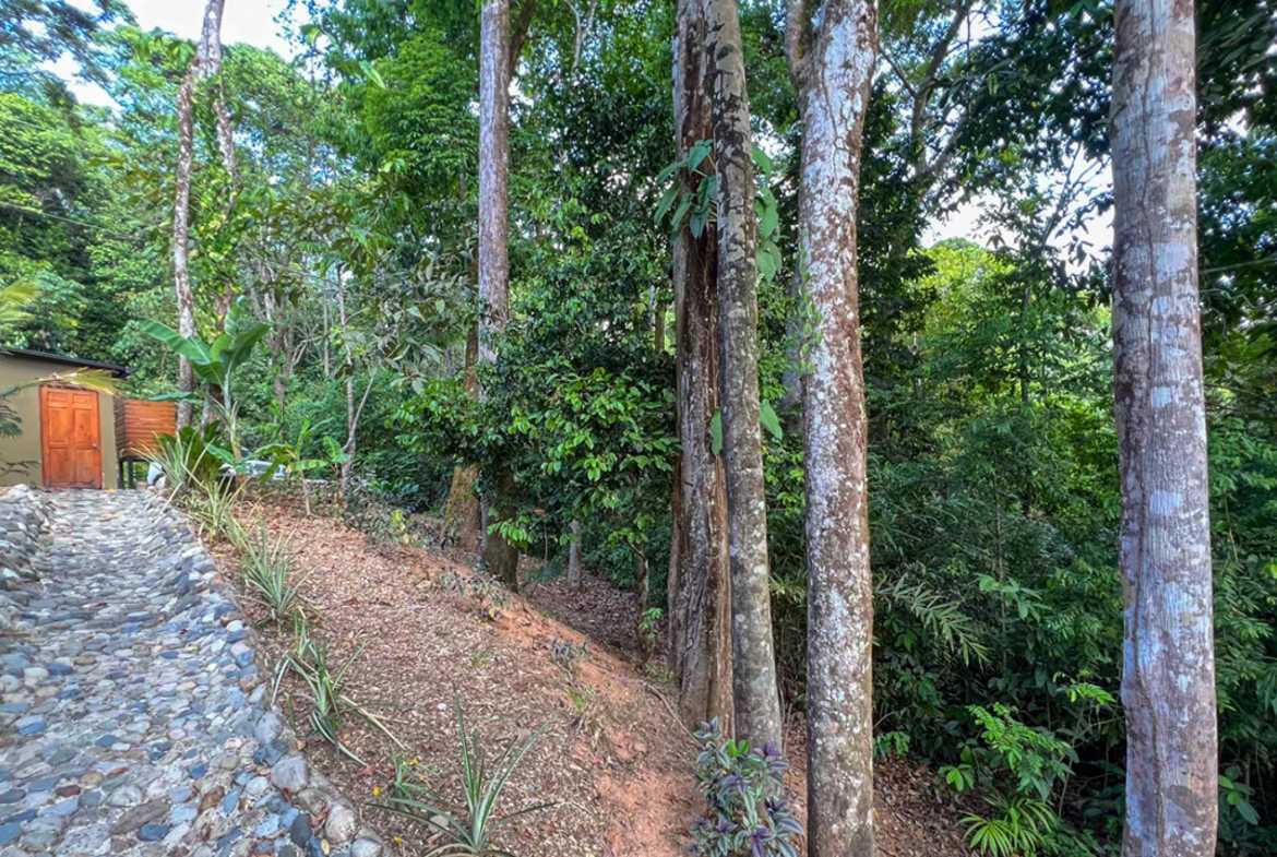 Private 3-Bedroom Jungle Retreat with Pool & Fruit Trees on 5 Acres in Lagunas Costa Rica photo 58