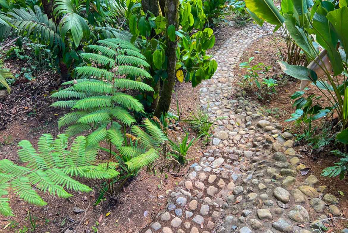 Private 3-Bedroom Jungle Retreat with Pool & Fruit Trees on 5 Acres in Lagunas Costa Rica photo 56