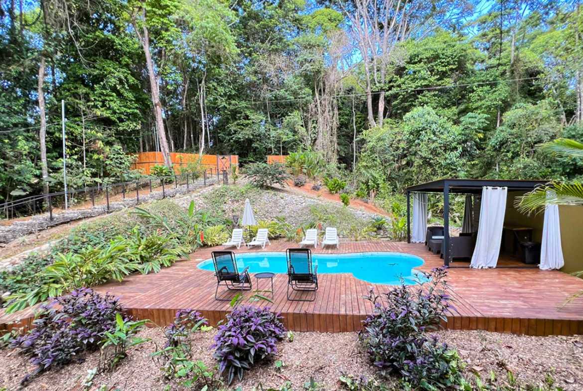 Private 3-Bedroom Jungle Retreat with Pool & Fruit Trees on 5 Acres in Lagunas Costa Rica photo 44