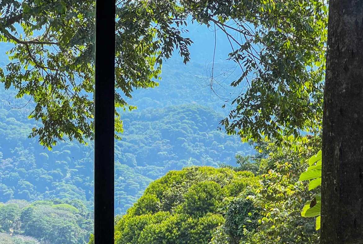 Private 3-Bedroom Jungle Retreat with Pool & Fruit Trees on 5 Acres in Lagunas Costa Rica photo 34
