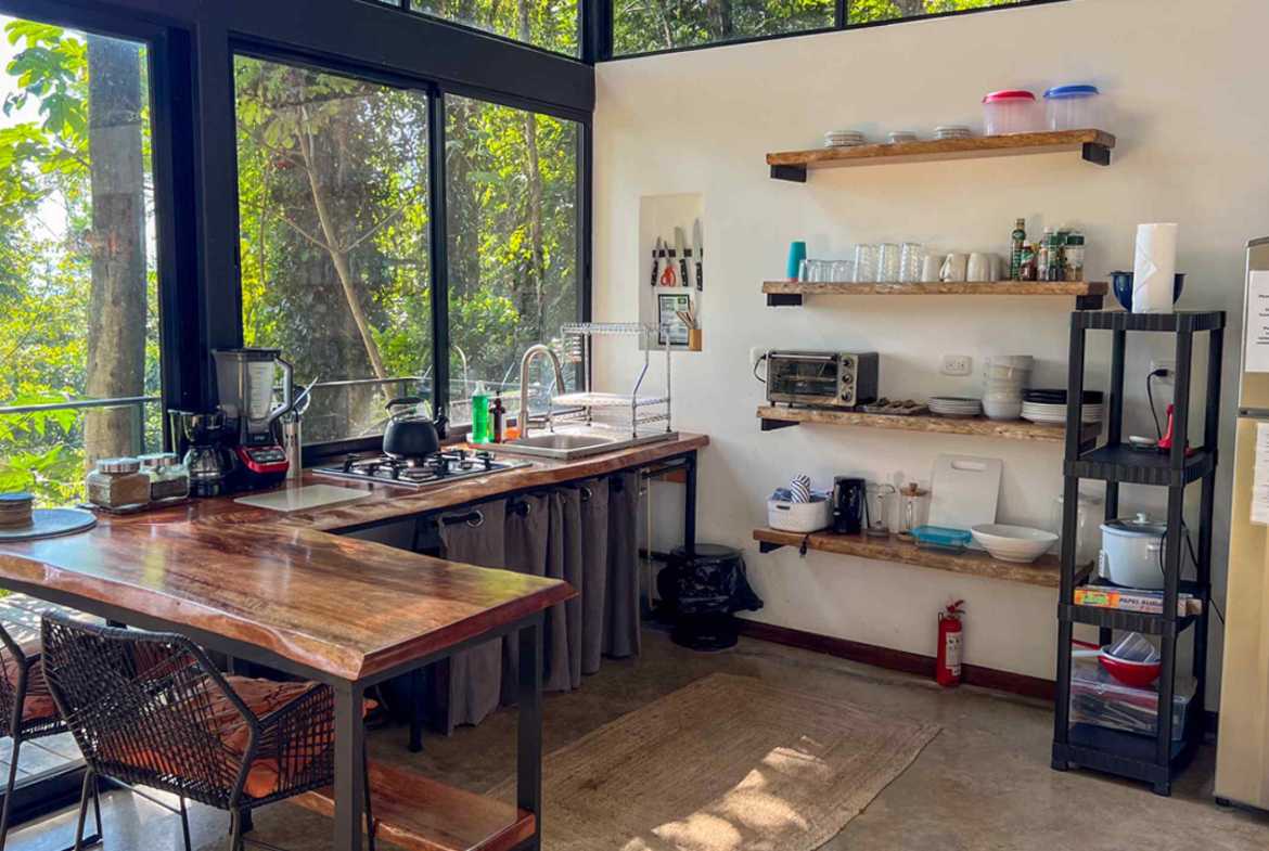 Private 3-Bedroom Jungle Retreat with Pool & Fruit Trees on 5 Acres in Lagunas Costa Rica photo 24