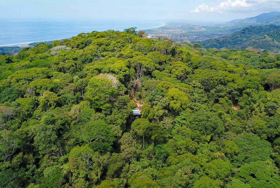 Private 3-Bedroom Jungle Retreat with Pool & Fruit Trees on 5 Acres in Lagunas Costa Rica photo 17