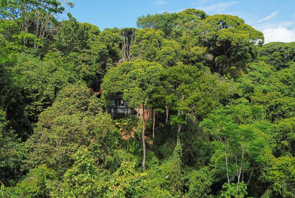Private 3-Bedroom Jungle Retreat with Pool & Fruit Trees on 5 Acres in Lagunas Costa Rica photo 16