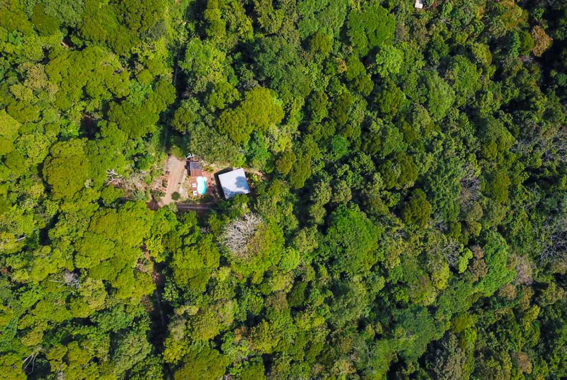 Private 3-Bedroom Jungle Retreat with Pool & Fruit Trees on 5 Acres in Lagunas Costa Rica photo 13