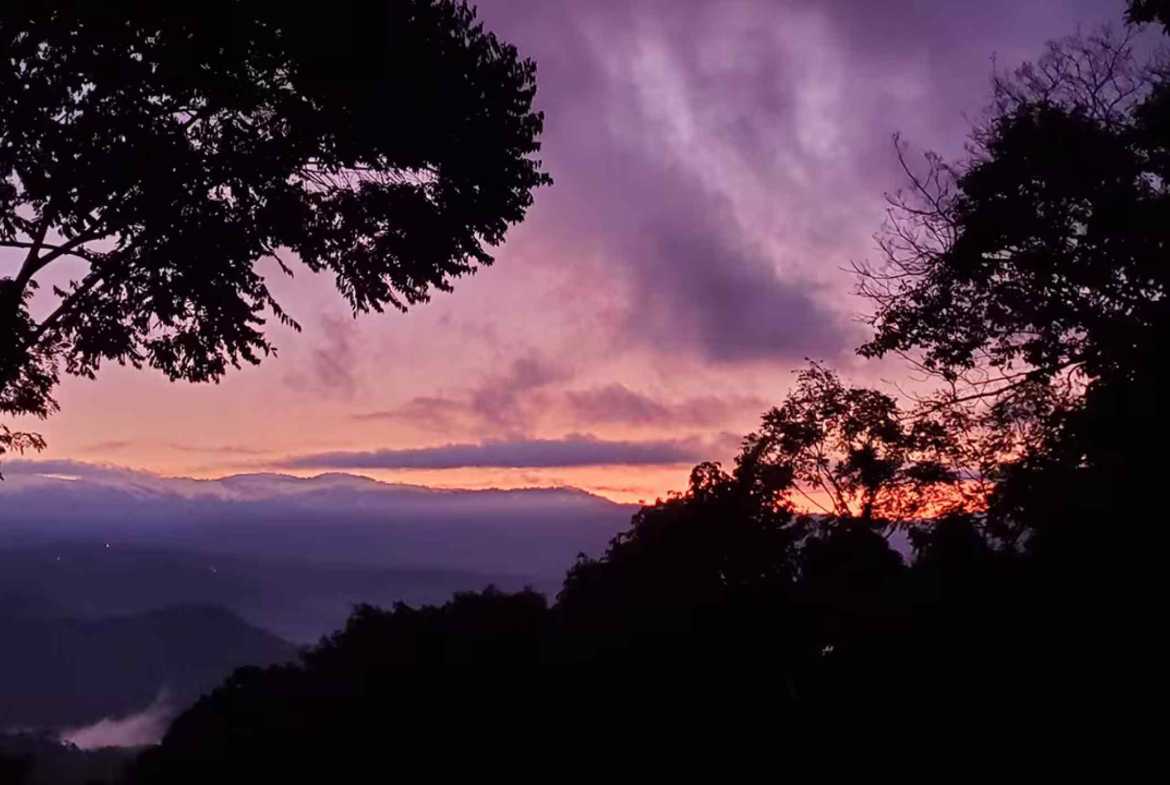 Private 3-Bedroom Jungle Retreat with Pool & Fruit Trees on 5 Acres in Lagunas Costa Rica photo 12