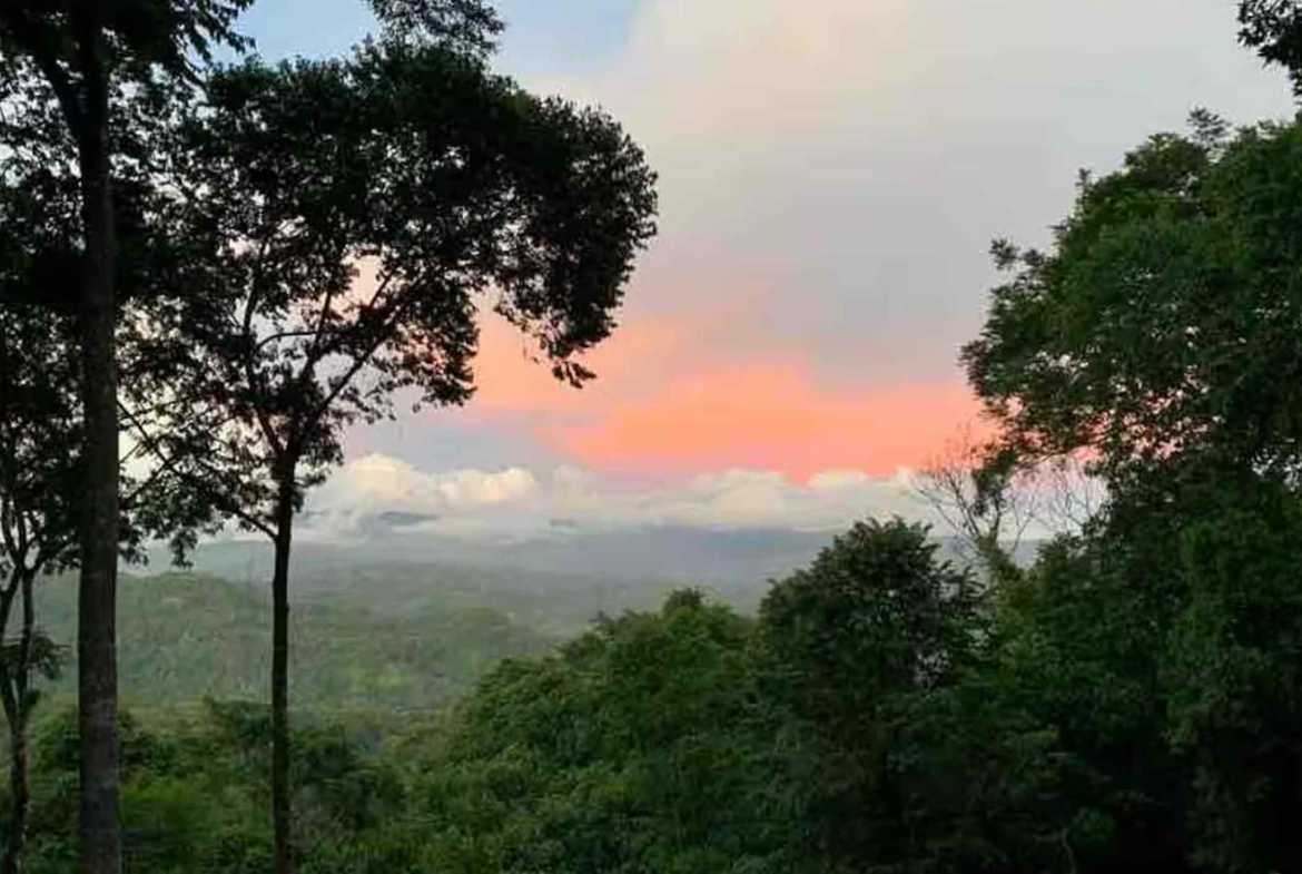Private 3-Bedroom Jungle Retreat with Pool & Fruit Trees on 5 Acres in Lagunas Costa Rica photo 10