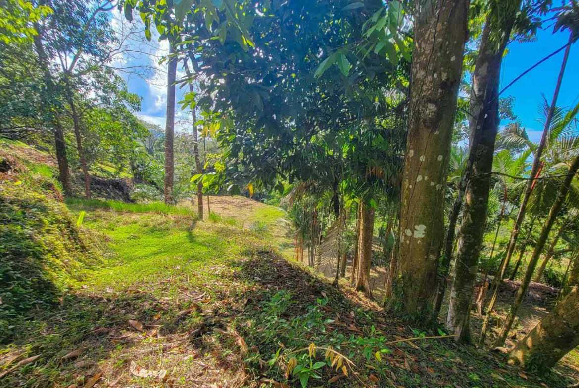 Ocean View 1.4-Acre Building Lot with Legal Water, photo 24 of 24
