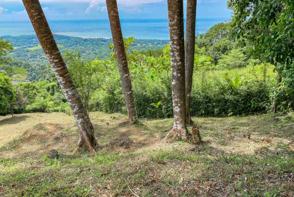 Ocean View 1.4-Acre Building Lot with Legal Water, photo 21 of 24