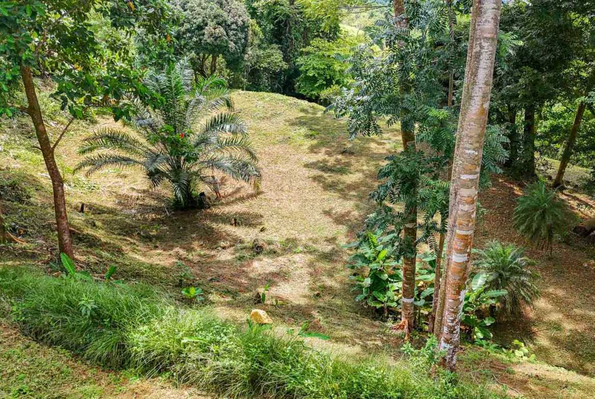 Ocean View 1.4-Acre Building Lot with Legal Water, photo 19 of 24