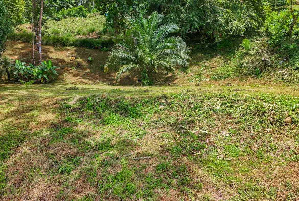Ocean View 1.4-Acre Building Lot with Legal Water, photo 17 of 24