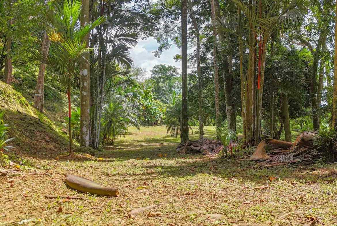 Ocean View 1.4-Acre Building Lot with Legal Water, photo 15 of 24