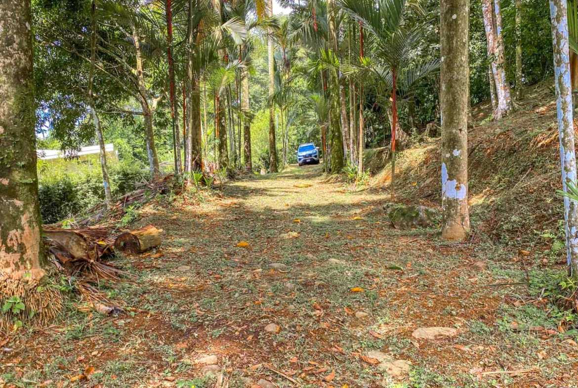 Ocean View 1.4-Acre Building Lot with Legal Water, photo 14 of 24