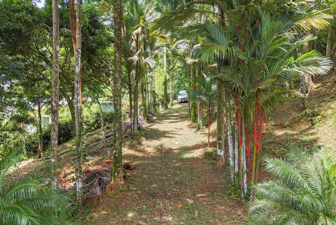 Ocean View 1.4-Acre Building Lot with Legal Water, photo 13 of 24