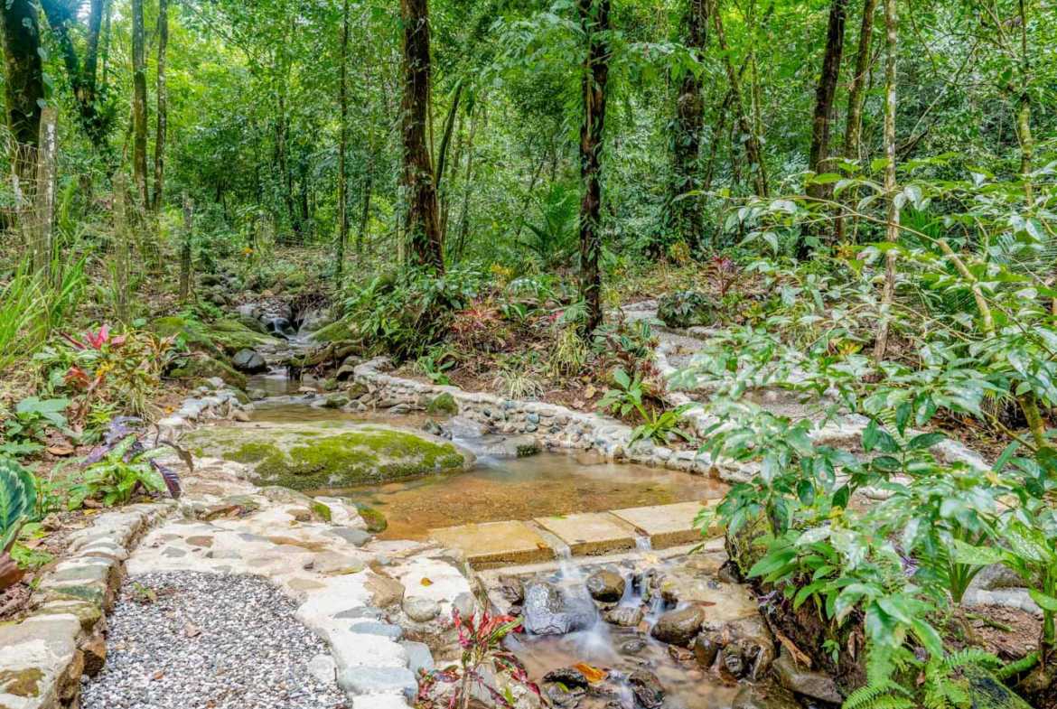 2-Bedroom Home stone-lined garden stream with waterfall and lush forest in Ojochal, Costa Rica