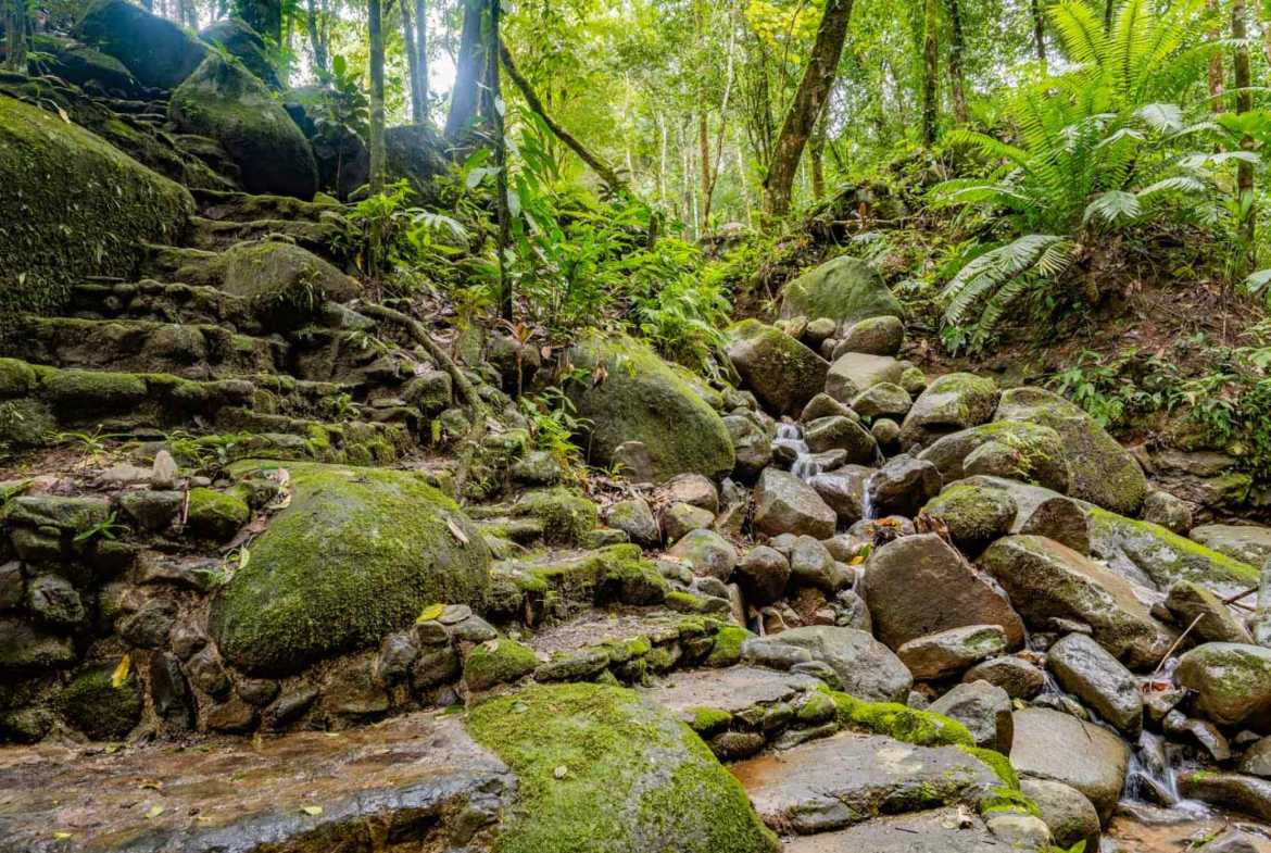 Stunning 2-Bedroom Home with River, Waterfall & Pool on 3.8 Acres in Ojochal Costa Rica photo 54