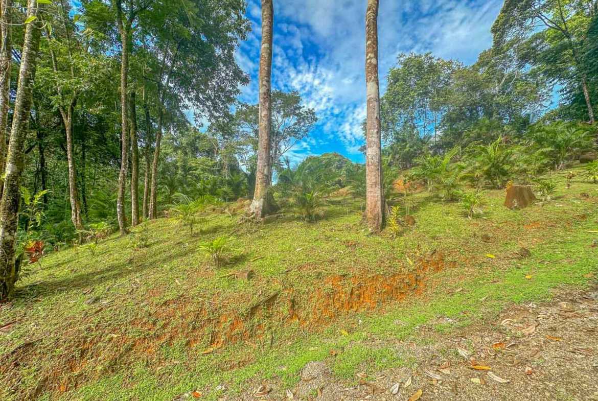 Stunning 2-Bedroom Home with River, Waterfall & Pool on 3.8 Acres in Ojochal Costa Rica photo 52
