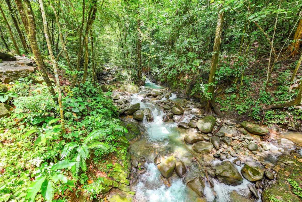 Stunning 2-Bedroom Home with River, Waterfall & Pool on 3.8 Acres in Ojochal Costa Rica photo 53