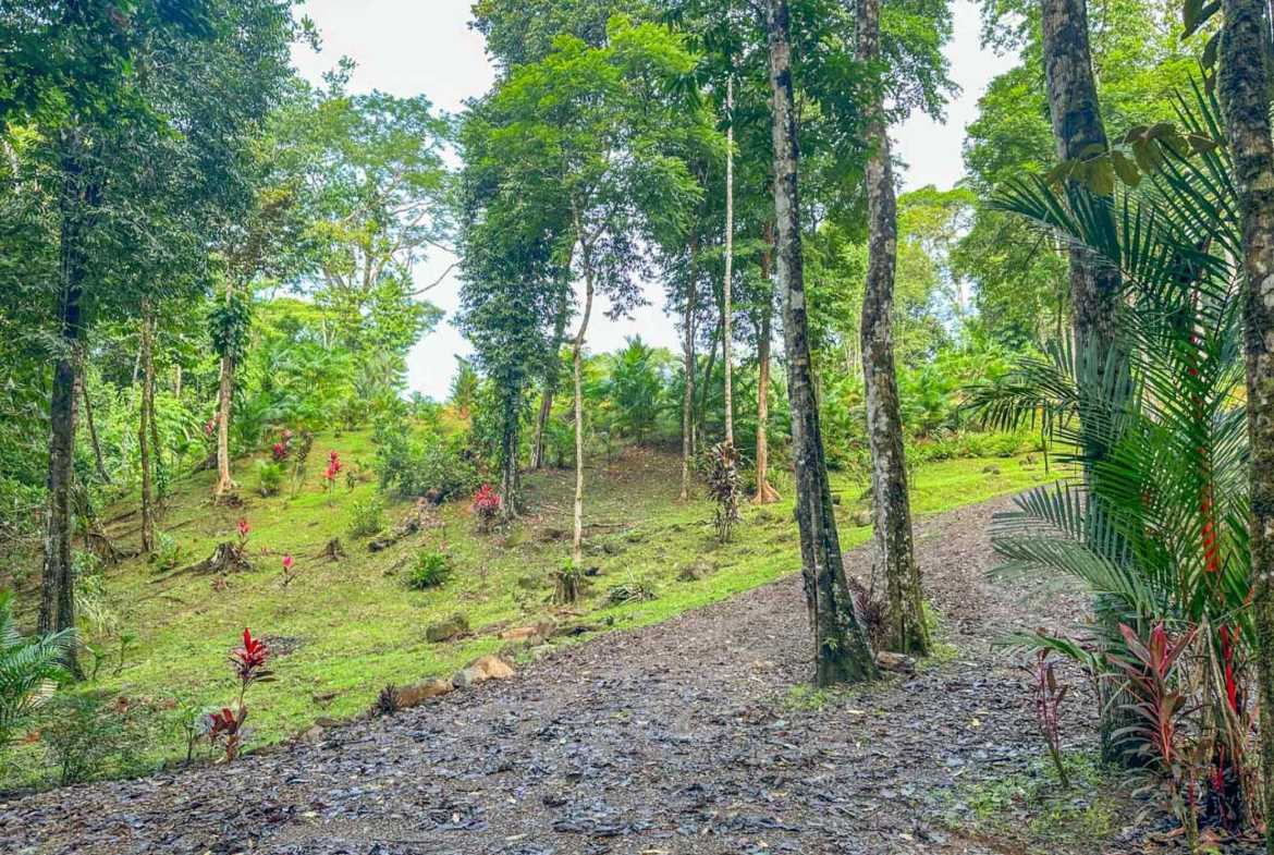 Stunning 2-Bedroom Home with River, Waterfall & Pool on 3.8 Acres in Ojochal Costa Rica photo 51