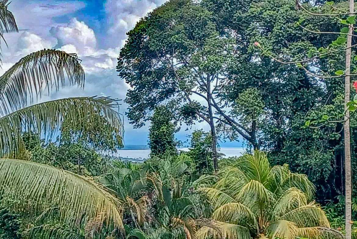 Stunning 2-Bedroom Home with River, Waterfall & Pool on 3.8 Acres in Ojochal Costa Rica photo 45