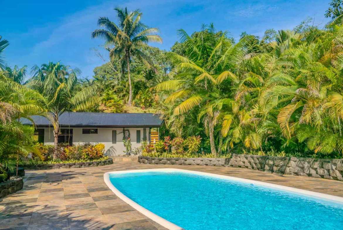 2-Bedroom Home with curved pool, stone patio, and lush palm trees in Ojochal, Costa Rica