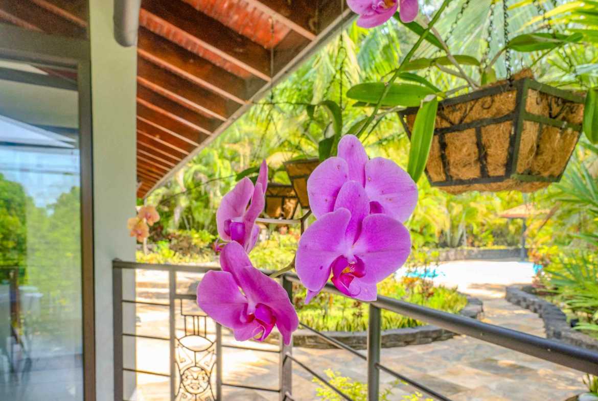 Stunning 2-Bedroom Home with River, Waterfall & Pool on 3.8 Acres in Ojochal Costa Rica photo 9