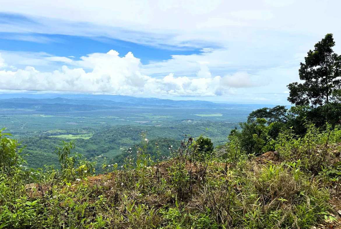 Spectacular 57-Acre Permaculture Farm with Ocean Views & Primary Jungle in Chacarita Costa Rica photo 2