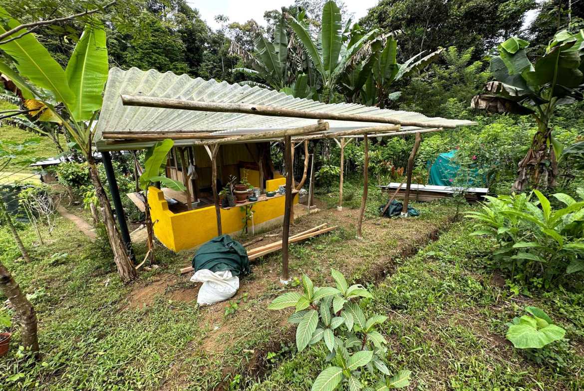 Spectacular 57-Acre Permaculture Farm with Ocean Views & Primary Jungle in Chacarita Costa Rica photo 59