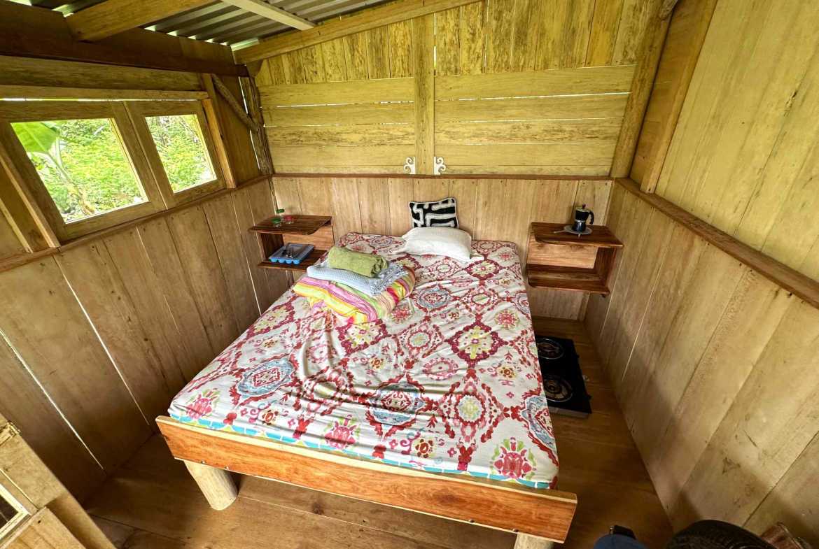 Spectacular 57-Acre Permaculture Farm with Ocean Views & Primary Jungle in Chacarita Costa Rica photo 58