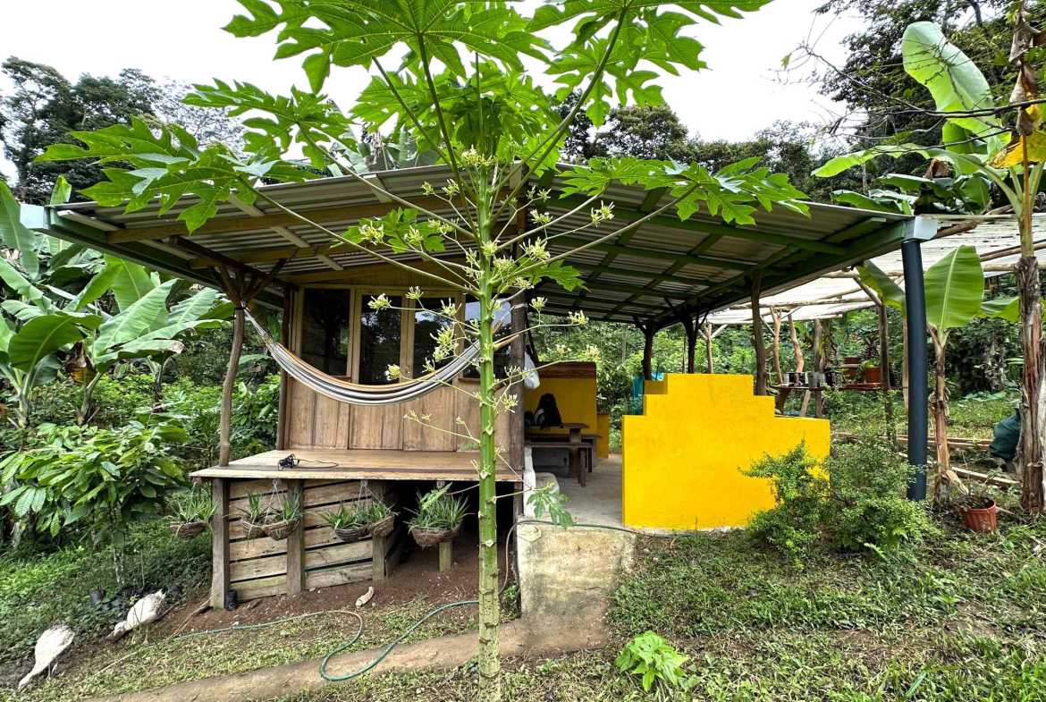 Spectacular 57-Acre Permaculture Farm with Ocean Views & Primary Jungle in Chacarita Costa Rica photo 57