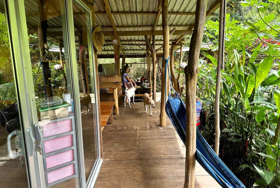 Spectacular 57-Acre Permaculture Farm with Ocean Views & Primary Jungle in Chacarita Costa Rica photo 54