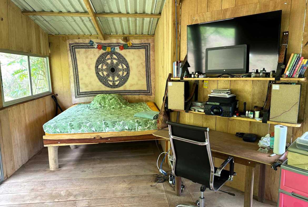 Spectacular 57-Acre Permaculture Farm with Ocean Views & Primary Jungle in Chacarita Costa Rica photo 53