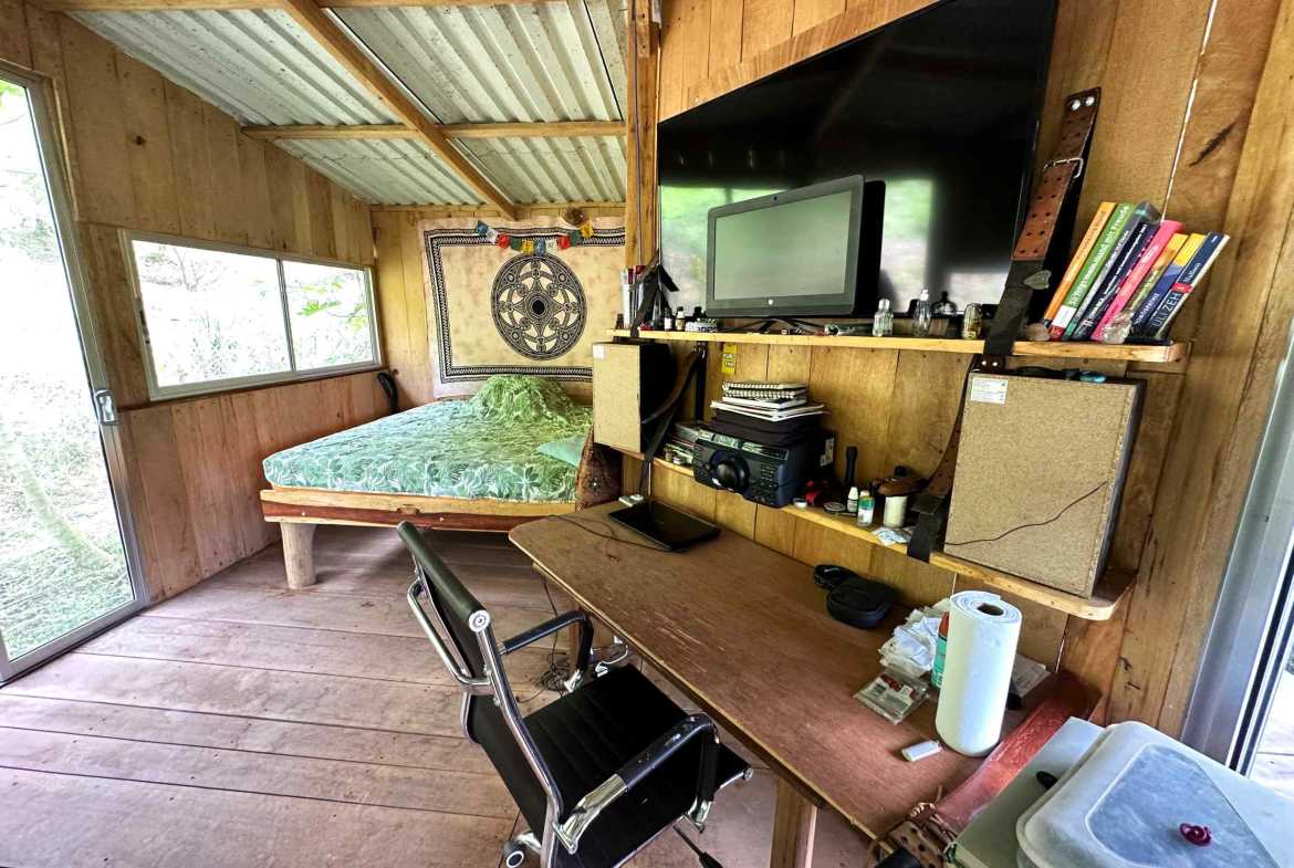 Spectacular 57-Acre Permaculture Farm with Ocean Views & Primary Jungle in Chacarita Costa Rica photo 52