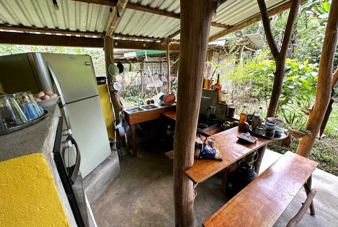 Spectacular 57-Acre Permaculture Farm with Ocean Views & Primary Jungle in Chacarita Costa Rica photo 49