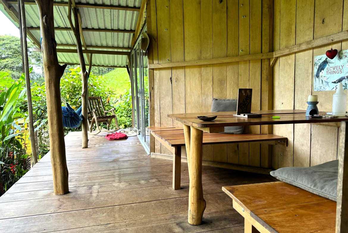 Spectacular 57-Acre Permaculture Farm with Ocean Views & Primary Jungle in Chacarita Costa Rica photo 48