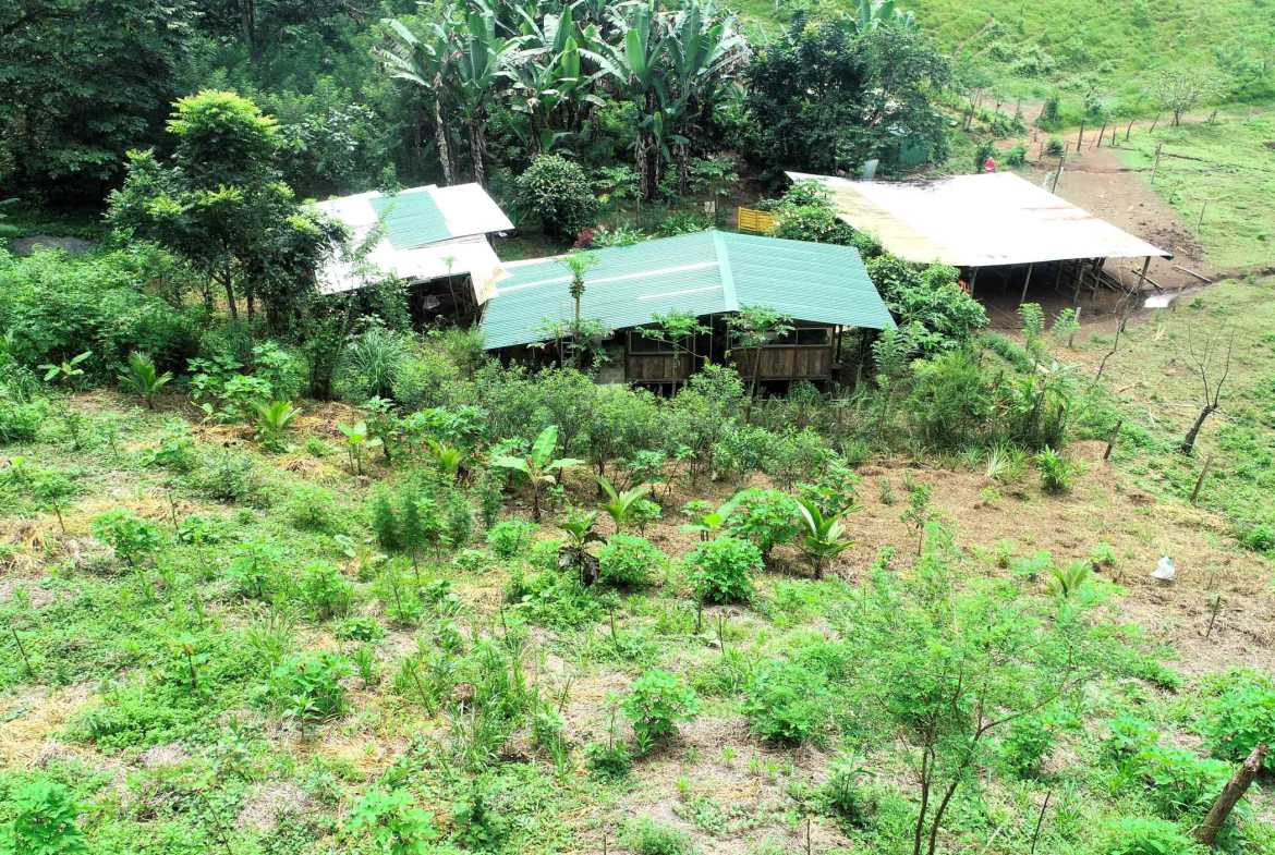 Spectacular 57-Acre Permaculture Farm with Ocean Views & Primary Jungle in Chacarita Costa Rica photo 45