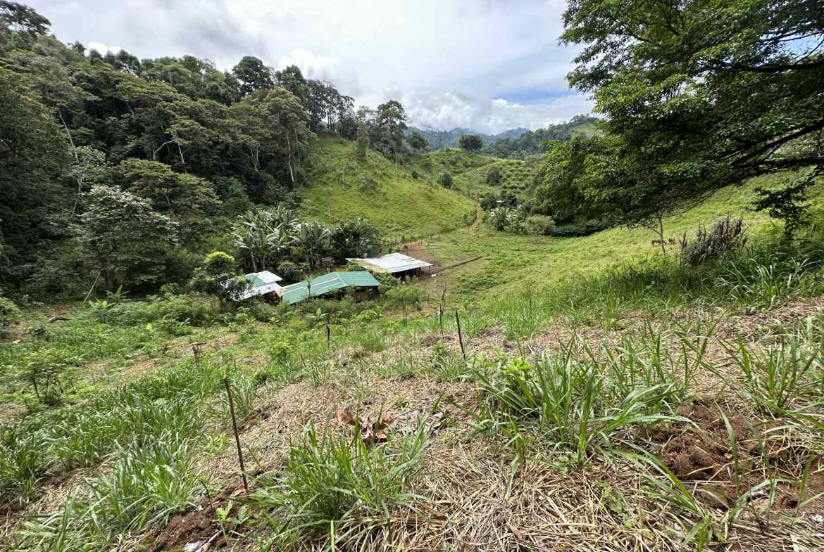 Spectacular 57-Acre Permaculture Farm with Ocean Views & Primary Jungle in Chacarita Costa Rica photo 40