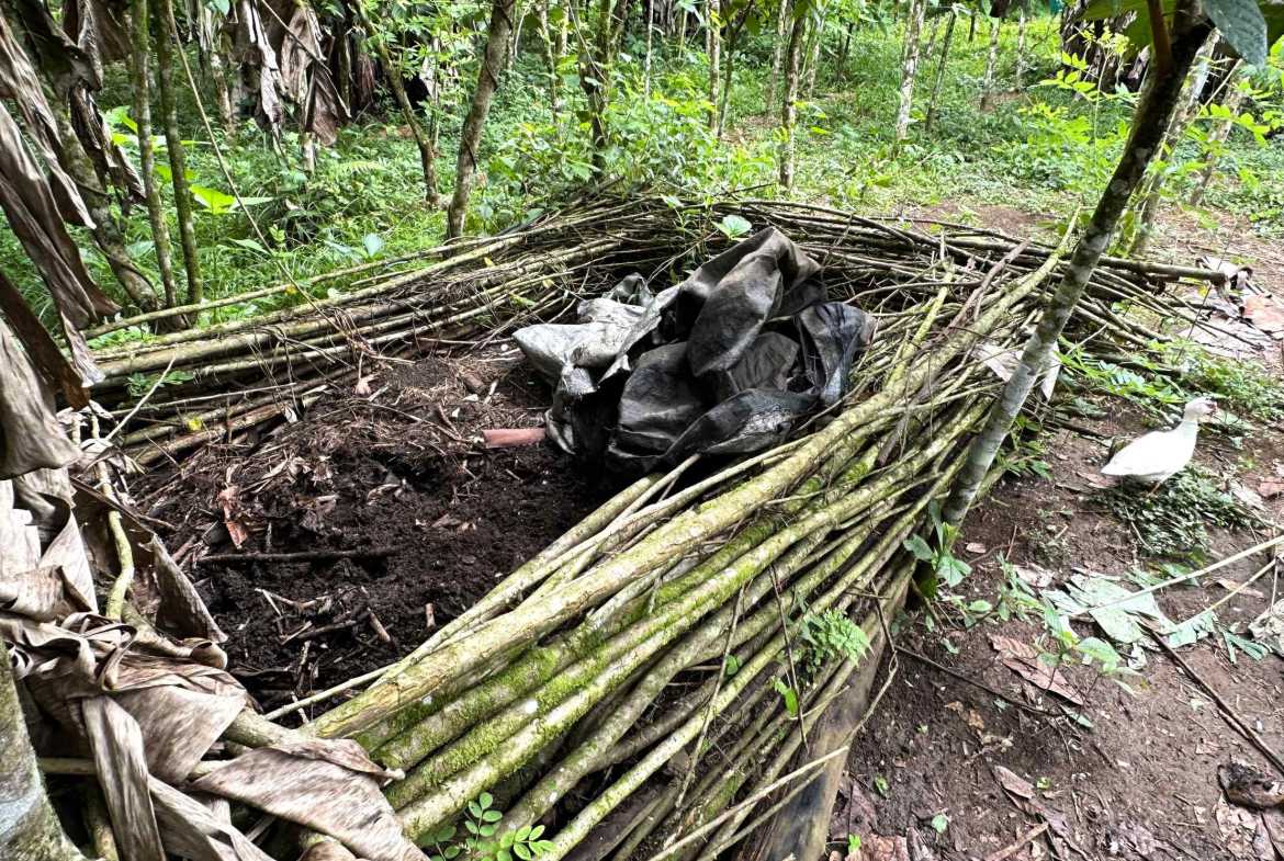 Spectacular 57-Acre Permaculture Farm with Ocean Views & Primary Jungle in Chacarita Costa Rica photo 39