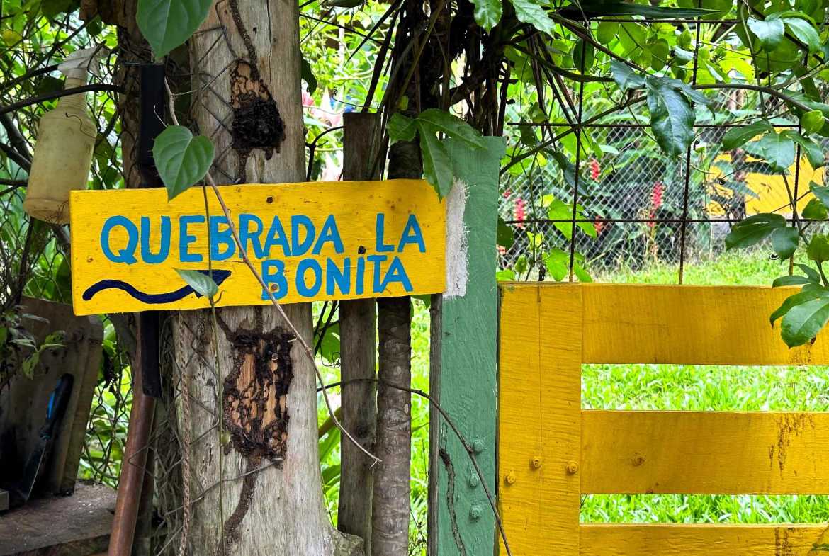 Spectacular 57-Acre Permaculture Farm with Ocean Views & Primary Jungle in Chacarita Costa Rica photo 29