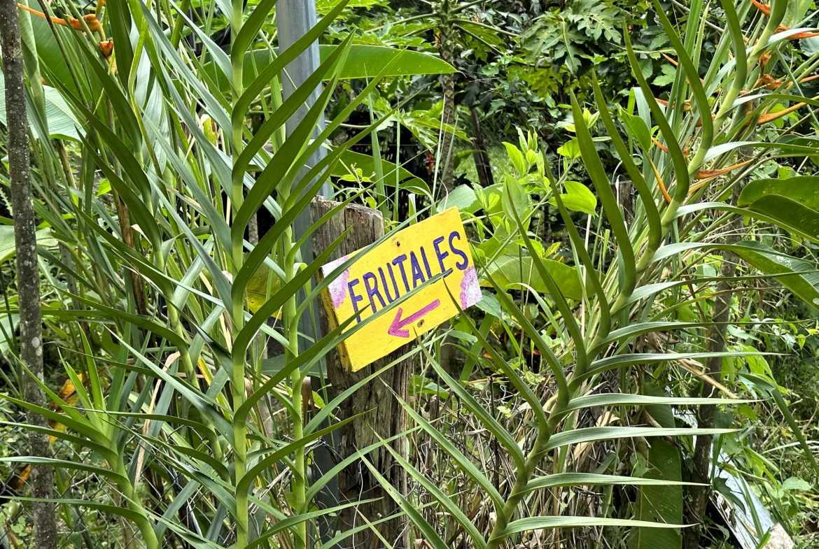 Spectacular 57-Acre Permaculture Farm with Ocean Views & Primary Jungle in Chacarita Costa Rica photo 28