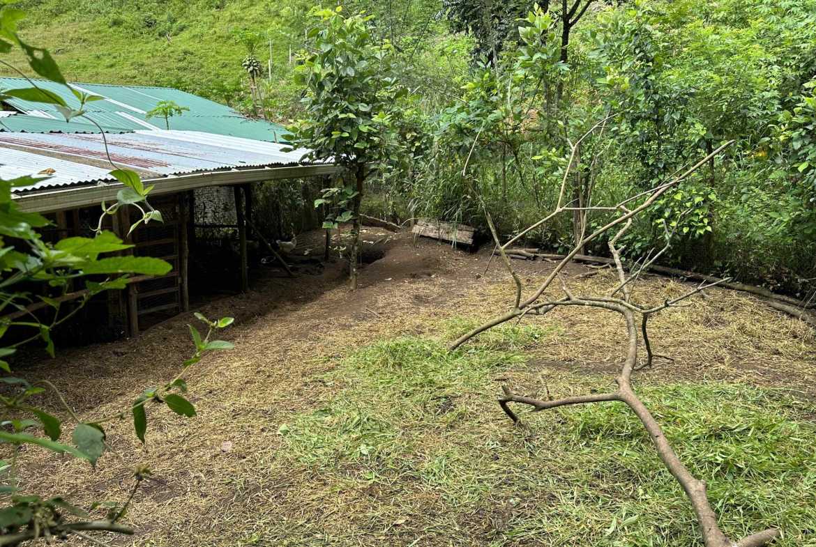 Spectacular 57-Acre Permaculture Farm with Ocean Views & Primary Jungle in Chacarita Costa Rica photo 23