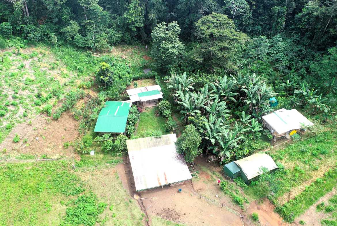 Spectacular 57-Acre Permaculture Farm with Ocean Views & Primary Jungle in Chacarita Costa Rica photo 16