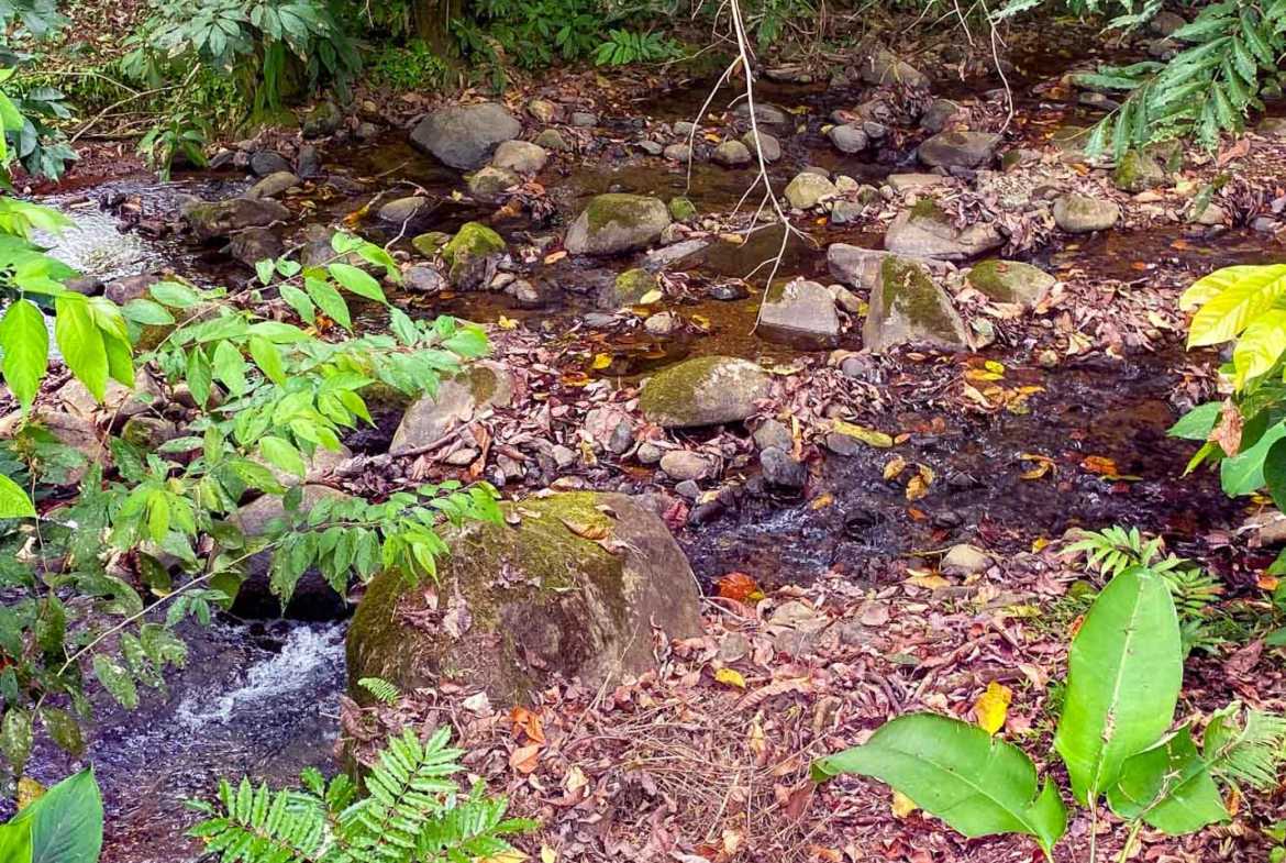 Peaceful 3-Bedroom Home with River Views & Jungle Setting in Ojochal Costa Rica photo 59