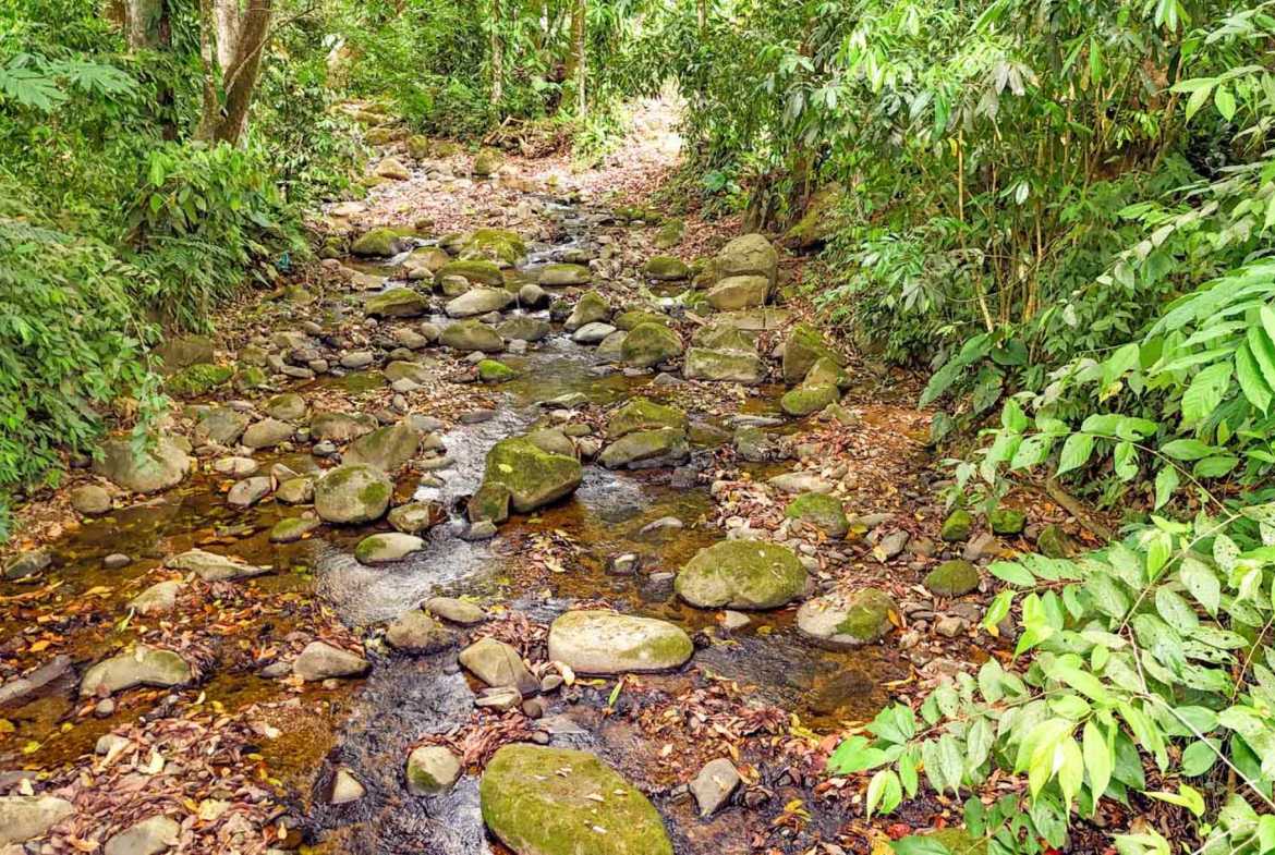 Peaceful 3-Bedroom Home with River Views & Jungle Setting in Ojochal Costa Rica photo 58