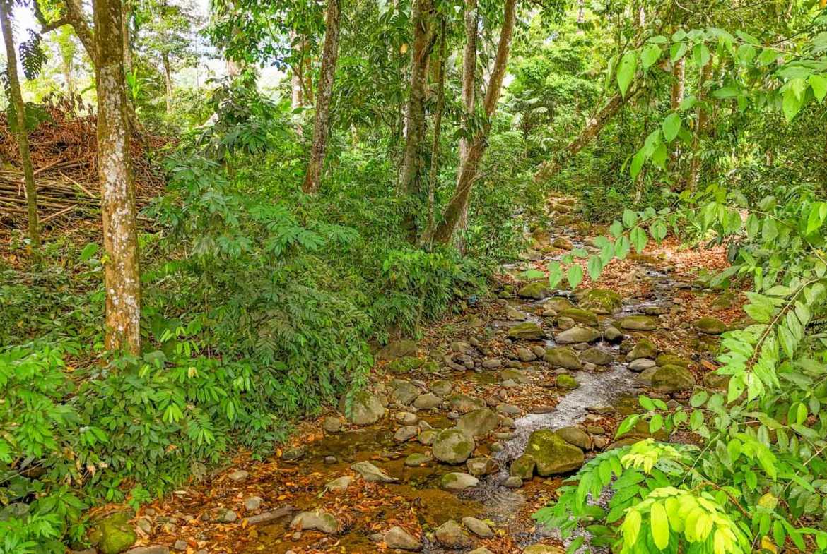 Peaceful 3-Bedroom Home with River Views & Jungle Setting in Ojochal Costa Rica photo 57