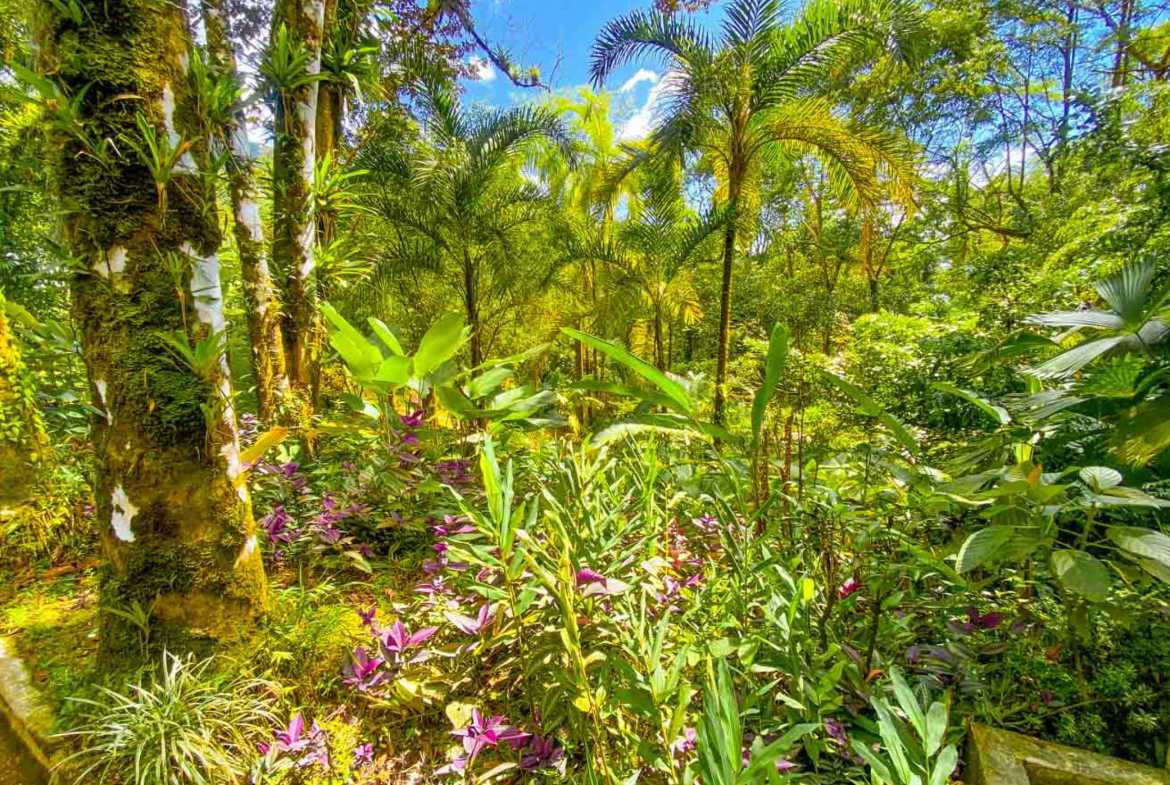 Stunning 3-Bedroom Rainforest Home with River & Waterfall on 3.5 Acres in Ojochal Costa Rica photo 55