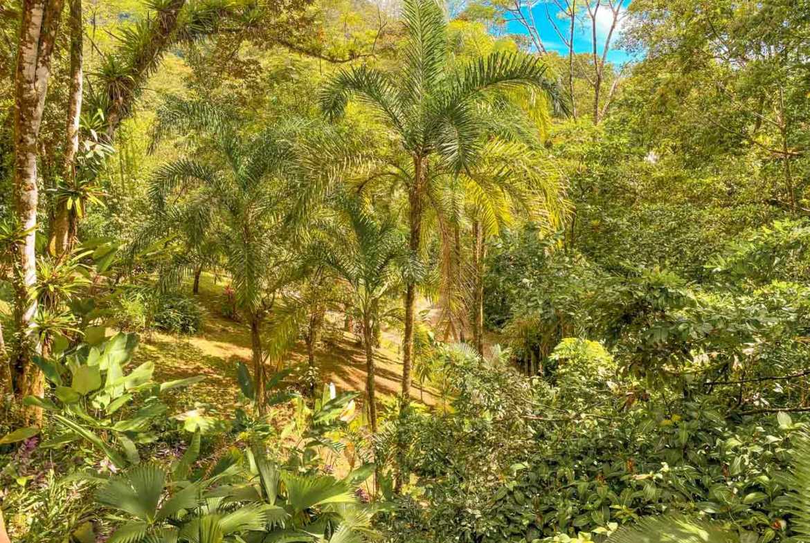 Stunning 3-Bedroom Rainforest Home with River & Waterfall on 3.5 Acres in Ojochal Costa Rica photo 34