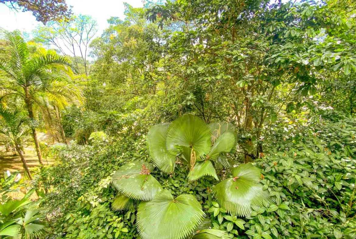 Stunning 3-Bedroom Rainforest Home with River & Waterfall on 3.5 Acres in Ojochal Costa Rica photo 33