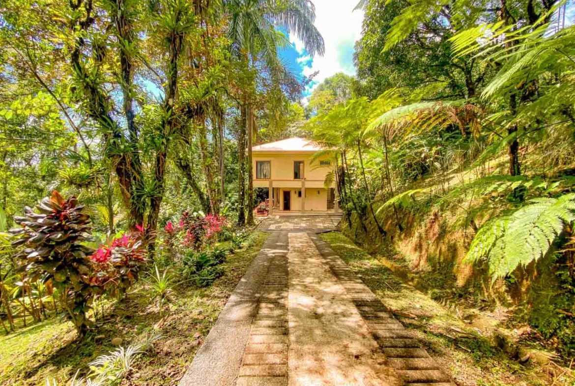 Stunning 3-Bedroom Rainforest Home with River & Waterfall on 3.5 Acres in Ojochal Costa Rica photo 26