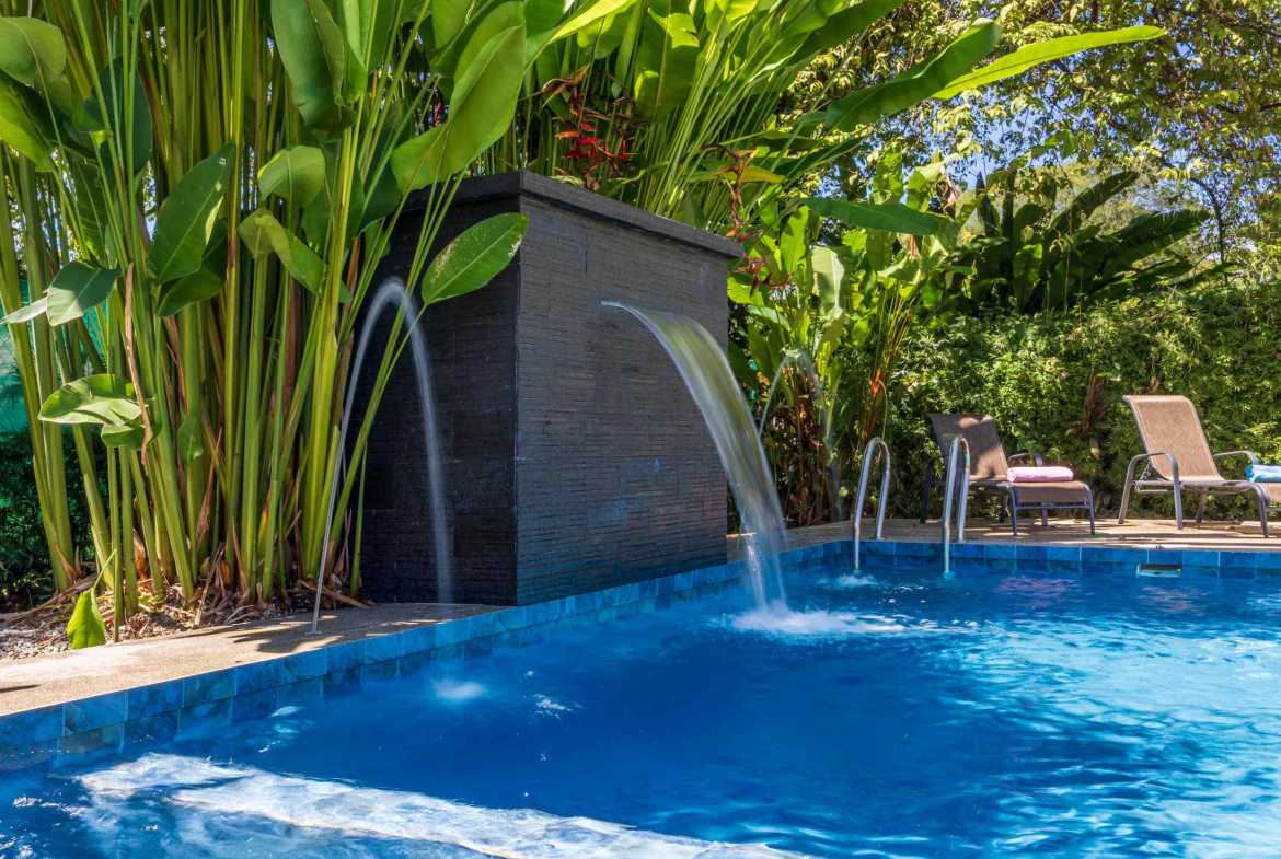 Modern 3-Bedroom Home with Designer Pool & Fruit Trees, photo 8 of 24