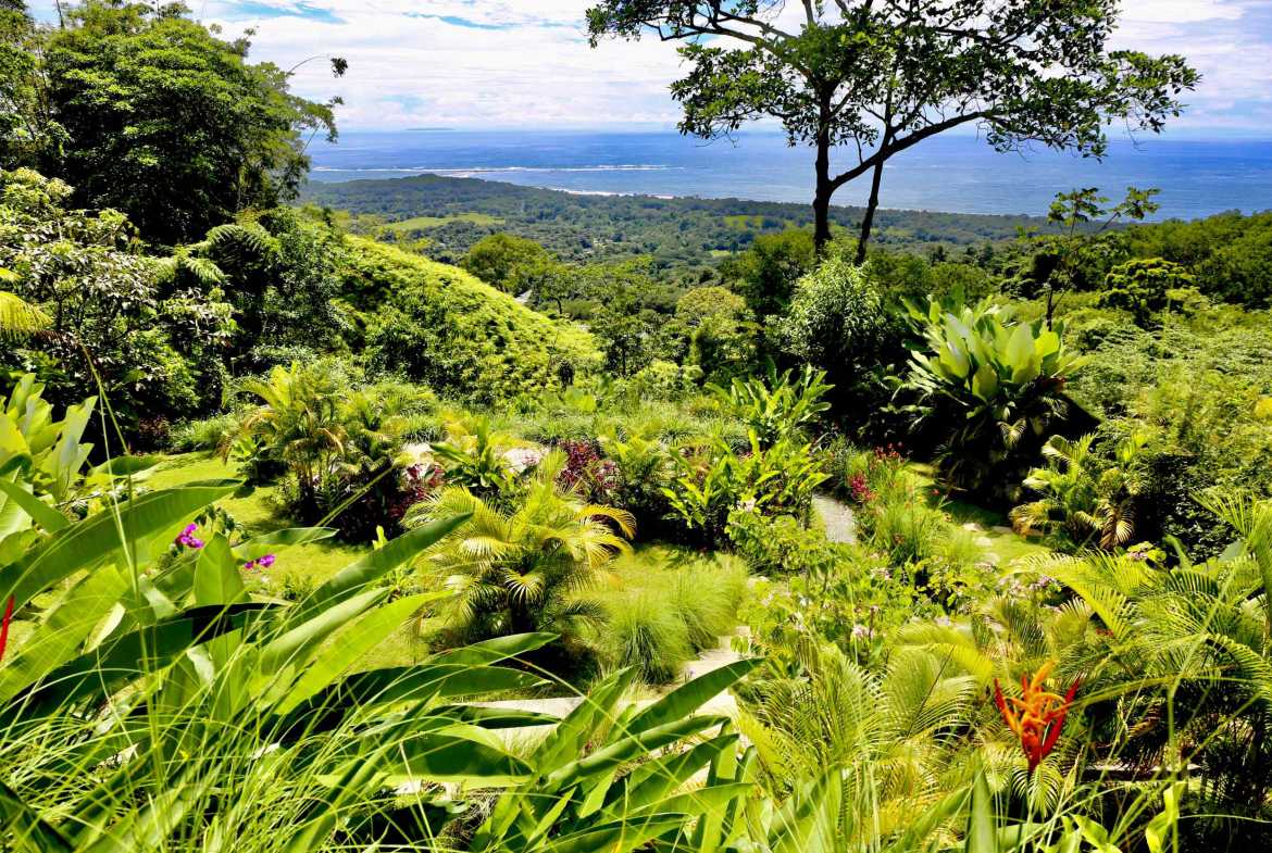 Stunning 3-Bedroom Designer Villa with Ocean Views & Private Pool in Uvita Costa Rica photo 9